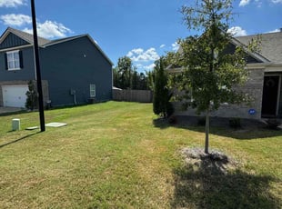 Carmen S.'s grass maintenance service result