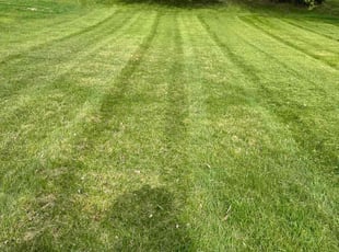 Yahel V.'s grass cutting service result