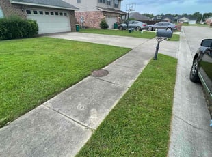 Thomas S.'s grass cutting service result