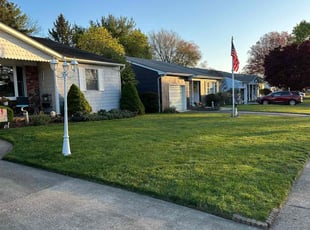 Jorge G.'s lawn service service result
