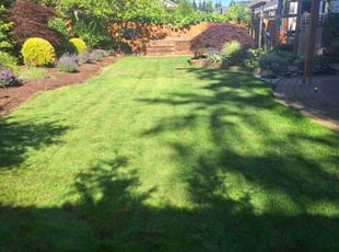 Tracye J.'s lawn care services service result