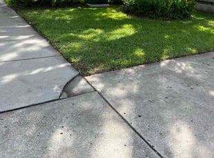 Joseph Z.'s grass cutting service result