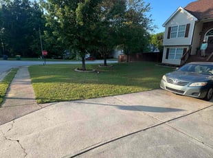 Nicole G.'s lawn care services service result