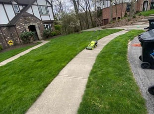 Allison C.'s grass maintenance service result