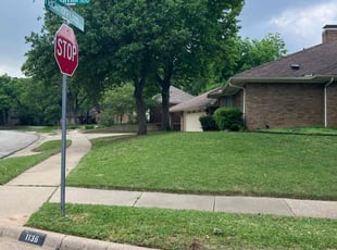 Steve D.'s grass cutting service result