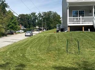 Dale W.'s turf care service result