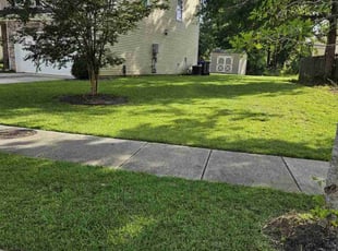 Pao C.'s lawn maintenance service result