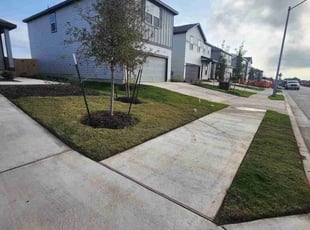 Brad H.'s grass cutting service result