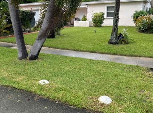 Kelly W.'s grass cutting service result