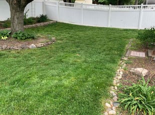 Melissa H.'s lawn service service result