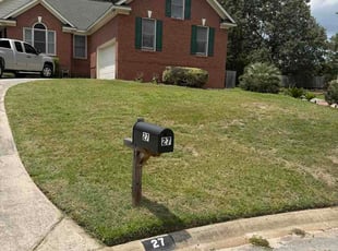 Reggie M.'s turf care service result