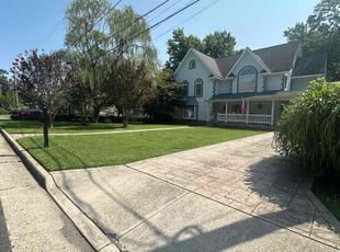 Eric P.'s grass cutting service result