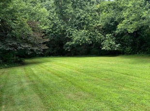 Tia C.'s turf care service result