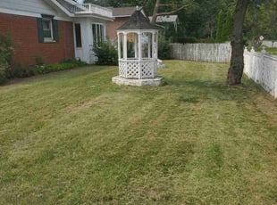 Marv S.'s turf care service result