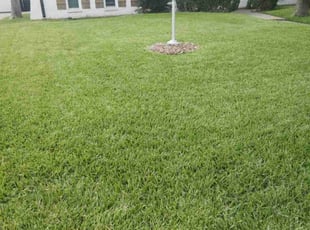 Udaya G.'s turf maintenance service result