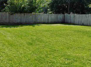 Frank T.'s turf maintenance service result