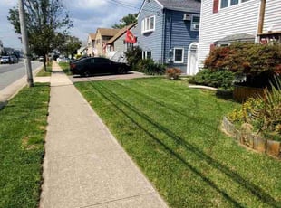 Jimmie R.'s turf maintenance service result
