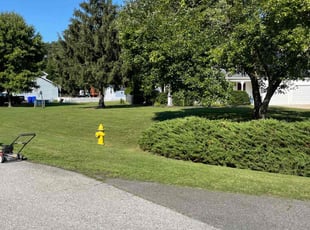 Brian D.'s lawn care service result