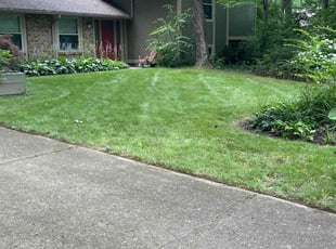 Jenny P.'s lawn care services service result