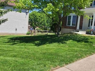 Suzanne E.'s lawn service service result