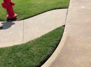 Paul R.'s Long Grass Cleanup service result