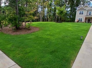 Timothy B.'s landscape maintenance service result