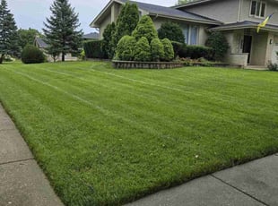Elizabeth K.'s lawn care service result