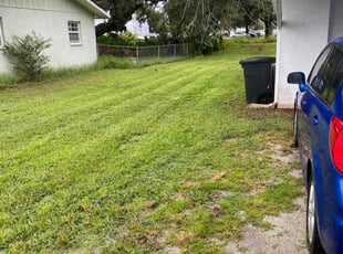 Heather T.'s turf maintenance service result