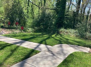 Robert G.'s turf care service result