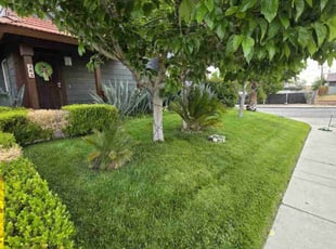 Shaqueda S.'s yard care service result