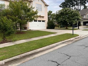 Laura B.'s turf care service result