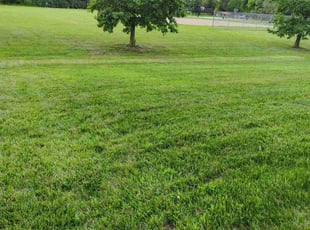 Dakota W.'s grass cutting service result
