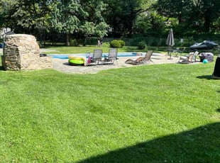 Ed K.'s turf care service result