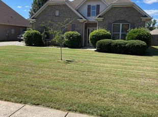 Bryan G.'s turf care service result