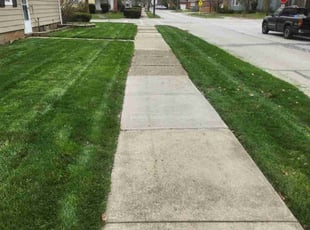 Jordan A.'s lawn service service result