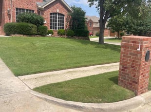 Tiara R.'s lawn care services service result