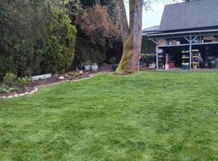 Vishnu V.'s lawn maintenance service result