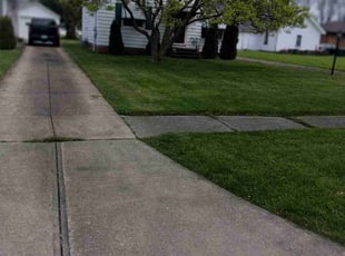 Todd L.'s turf maintenance service result