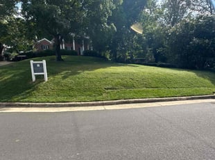 Karen P.'s Long Grass Cleanup service result