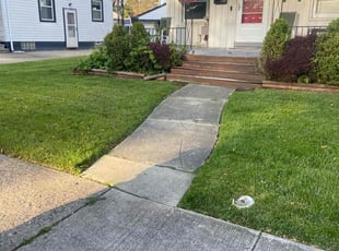 Justin L.'s lawn service service result
