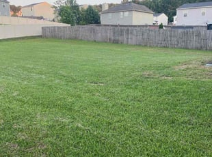 Gwyddon K.'s residential landscaping service result