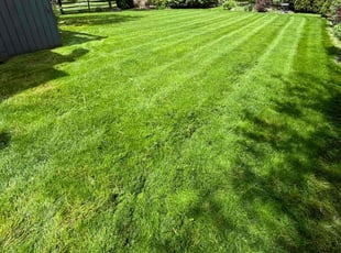 Bethany G.'s turf care service result