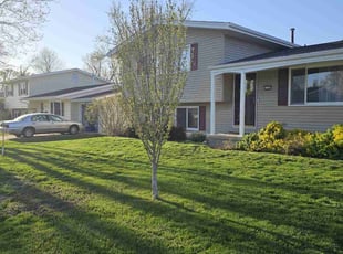 Kenneth A.'s lawn care services service result