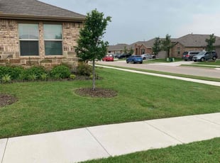 Karly S.'s lawn care service result