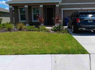 Alyssa C.'s turf care service result