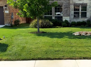 Nikalus A.'s grass maintenance service result