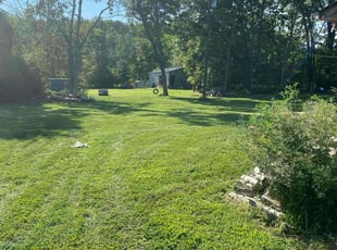 Zau S.'s lawn service service result