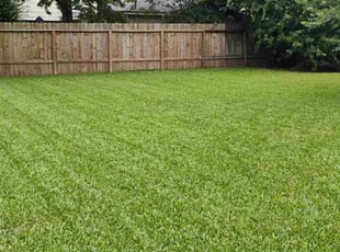 Megan W.'s turf care service result