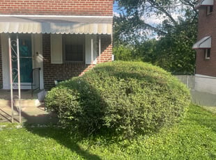 R R.'s Bush Trimming service result