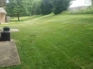 Lindsay G.'s lawn care service result